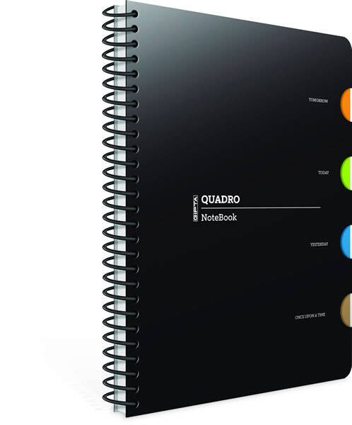 Gıpta Quadro Spiralli Defter Kareli 4 Seperatörlü 150 Yp 17 x 24 - 1